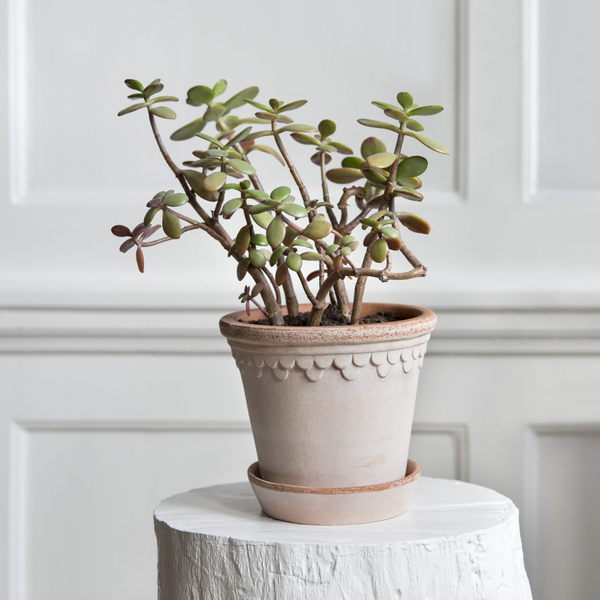 Bergs Potter Copenhagen 'Castle' Pot - Rosa - The Lost + Found Department